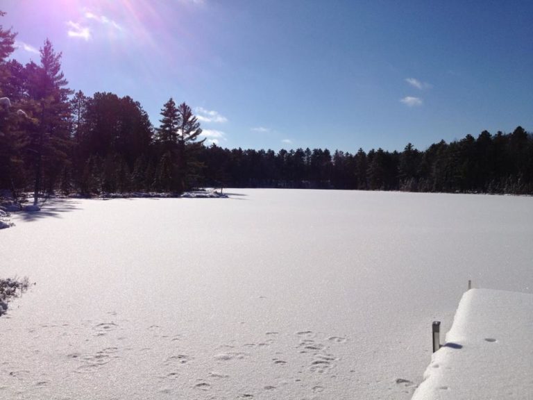 10420265_759170994153115_867707309758660625_n