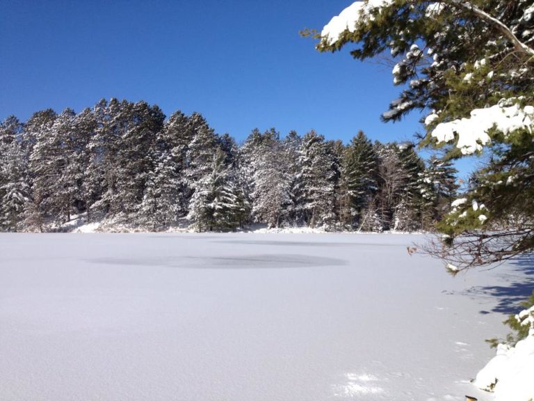 1969308_759170957486452_3205622415542494788_n