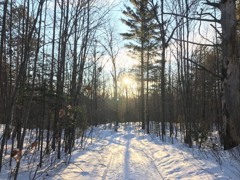 84934089_3416663425070512_8149551271355875328_o