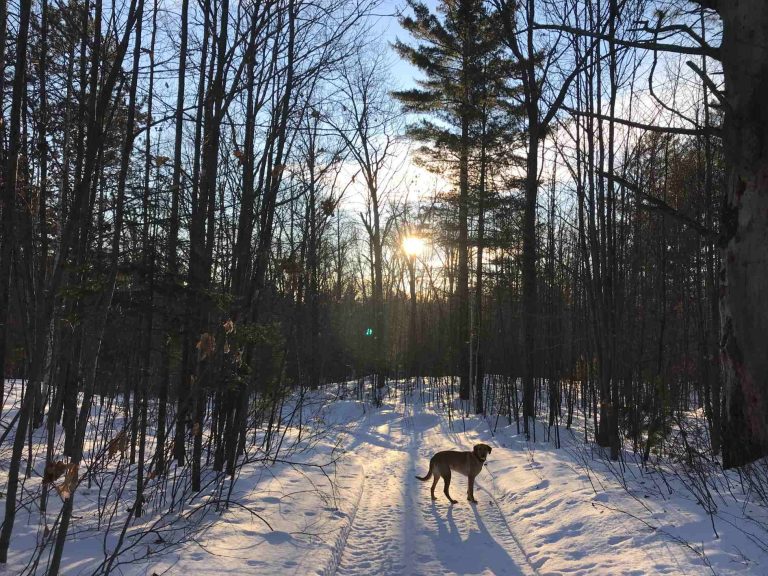 Whiplash Retreat on Whiplash Lake